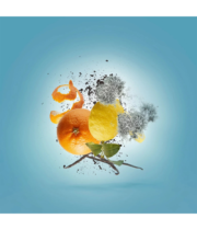 XERJOFF Xerjoff V Erba Pura - Image 3