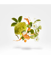 XERJOFF XJ1861 Naxos - Image 4