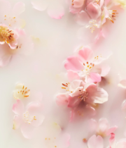 The Ritual of Sakura Coffret Voyage - Image 3