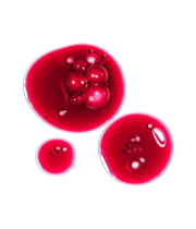 The Ordinary Direct Acids AHA 30% + BHA 2% Peeling Solution – Image 2