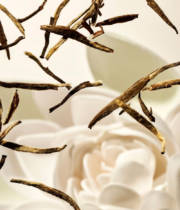 The Ritual of Karma Coffret Voyage – Image 3